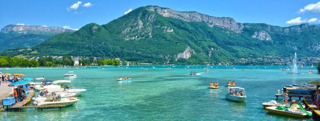 Appartement Atypique Au Coeur Des Alpes Barraux Екстер'єр фото